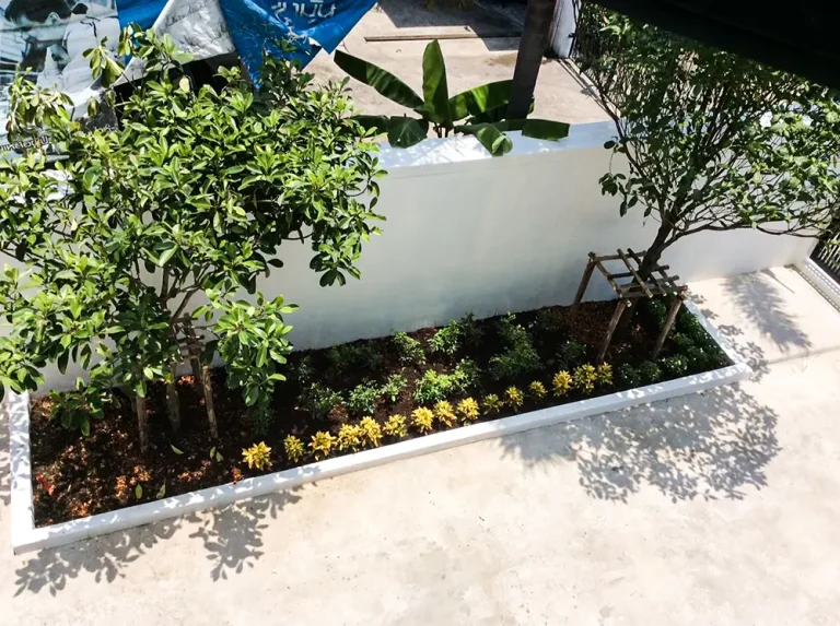 P001 รีโนเวทบ้านเดี่ยว ย่านบางแวก · ภายนอก