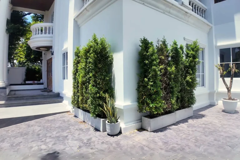 P070 รีโนเวทบ้านเดี่ยว ย่านสายไหม · ภายนอกและถนนในบ้าน